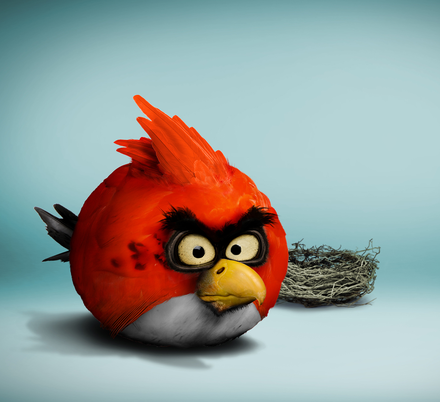 angrybird,angry birds, angry,bird, birds,red,rovio,Ecuador,photoshop,Char.....