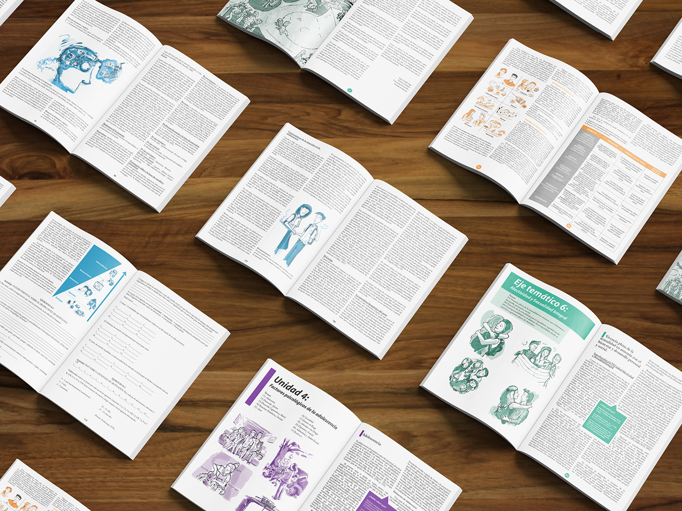Adobe InDesign drawings graphic design  ILLUSTRATION  Layout Design print design  textbook