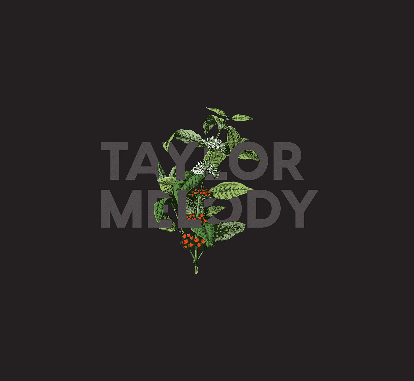 Coffee taylor melody Plant floral branding  design business dark