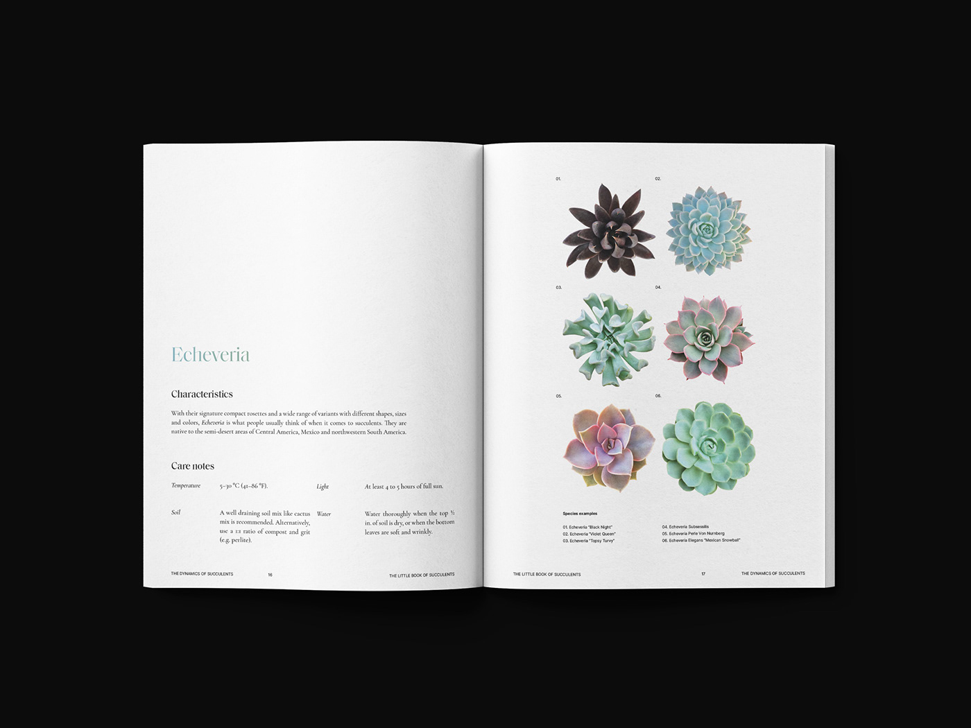book editorial editorial design  elegant Layout magazine typography   flower Nature