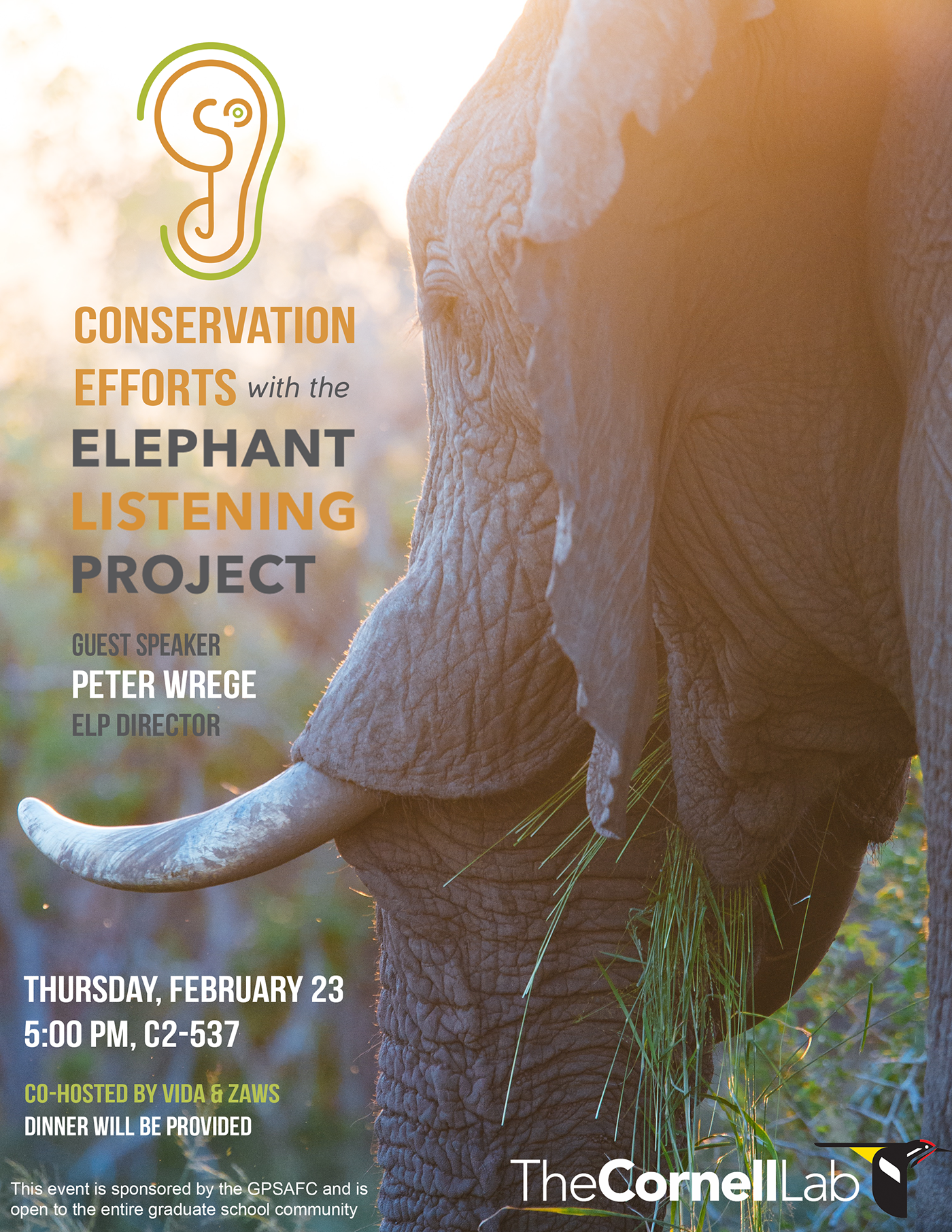elephant Cornell conservation wildlife