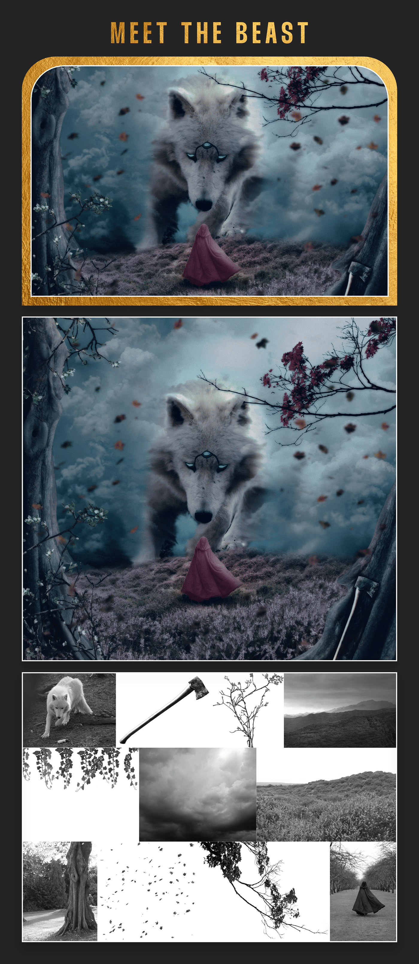 Meet the beast ads art Behance manipulation wolf artist artwork Digital Art  sketch