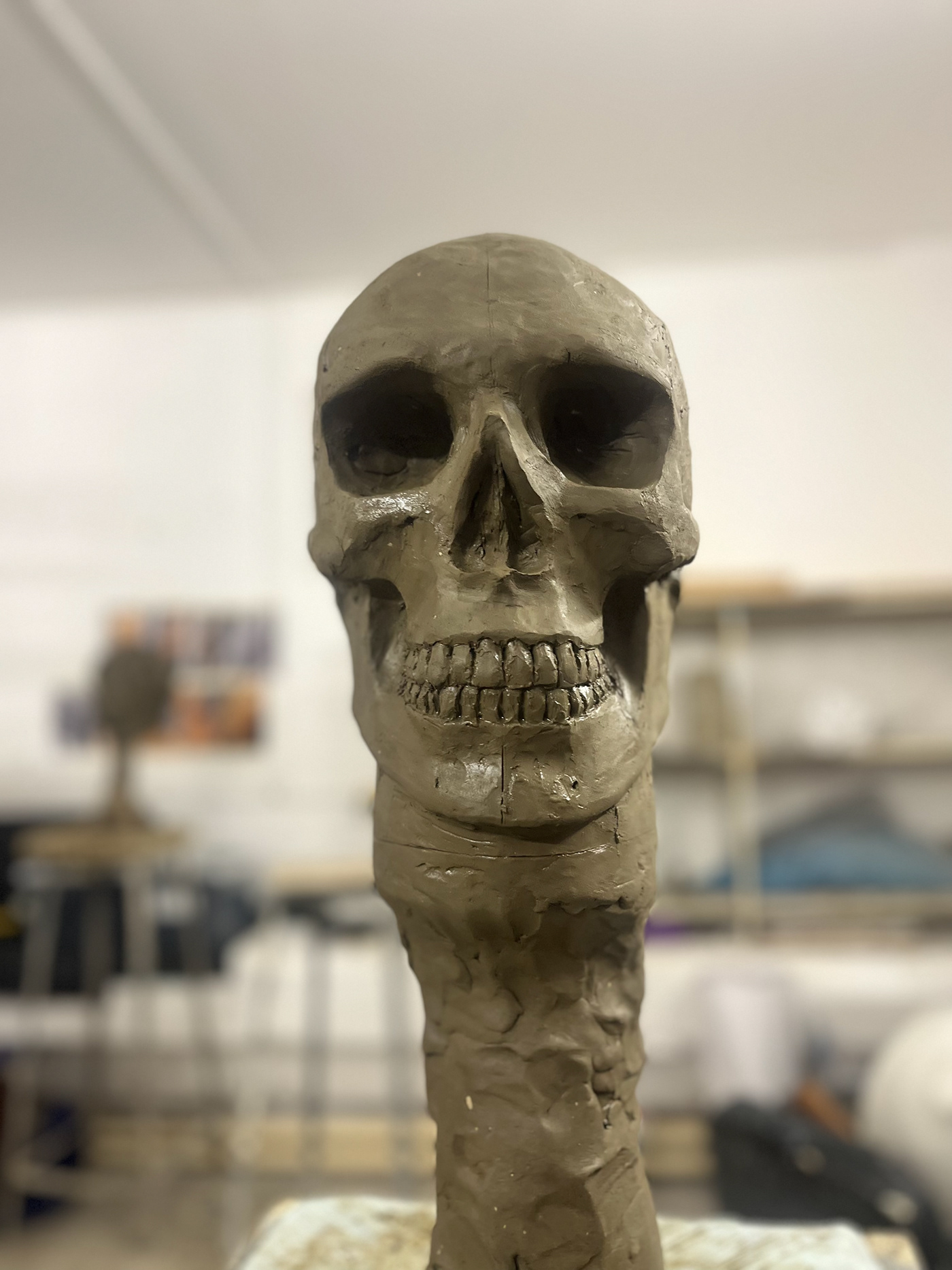 sculpture study Cranium