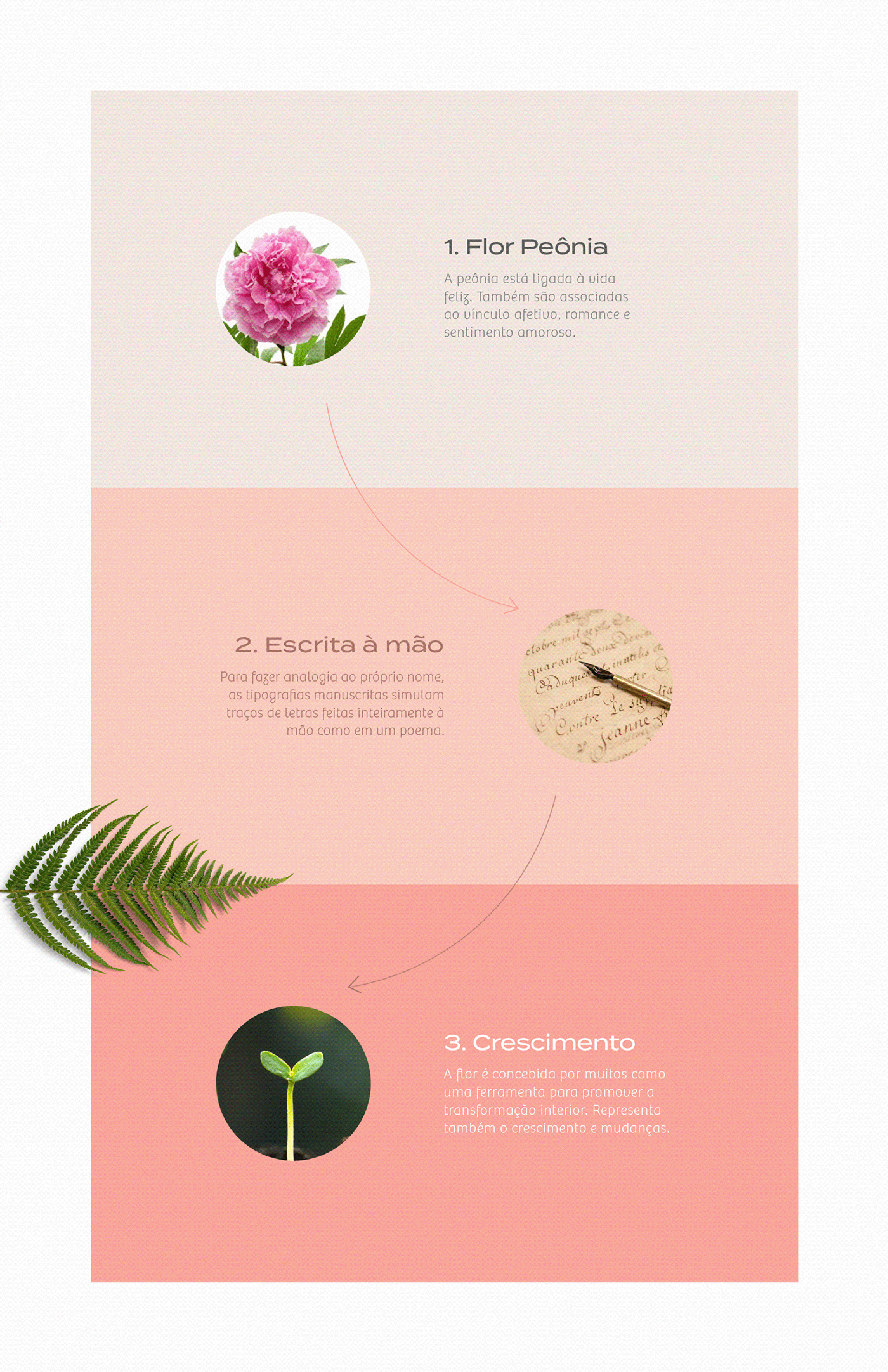 florist logo flower logo Logo Design logo inspiration symbol visual brand visual identity brand logofolio mark