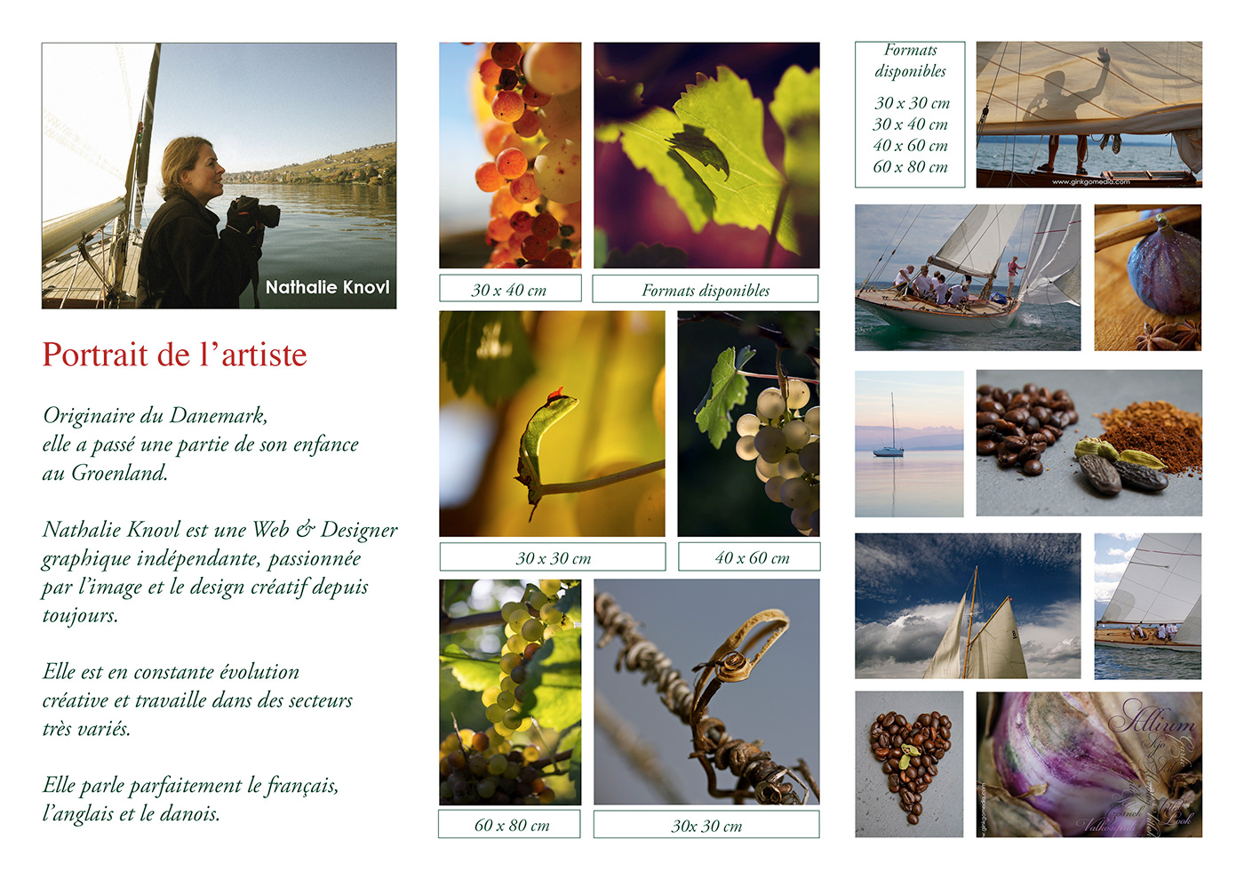 wine photo promotion work winery Photography  Layout Design brochure marketing   Advertising  Yquem