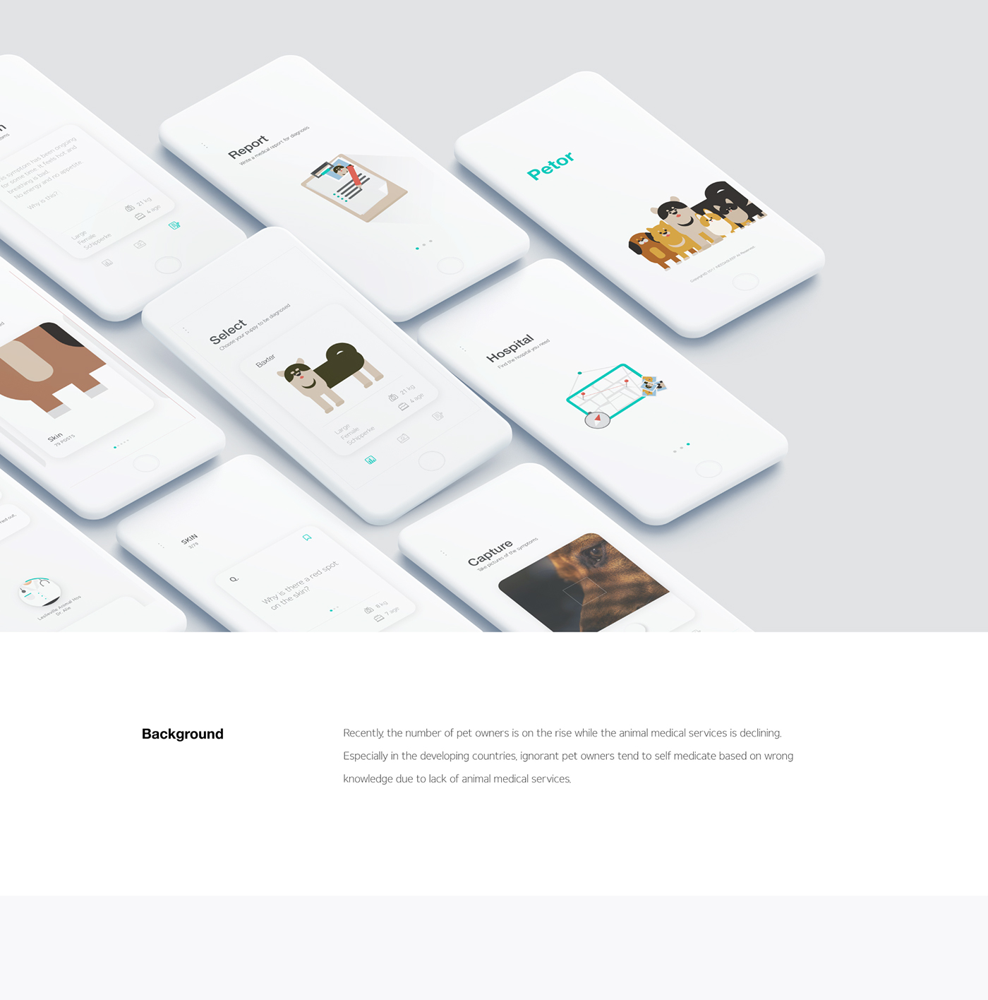 Pet app GUI Character graphic simple UI/UX interaction care adobeawards