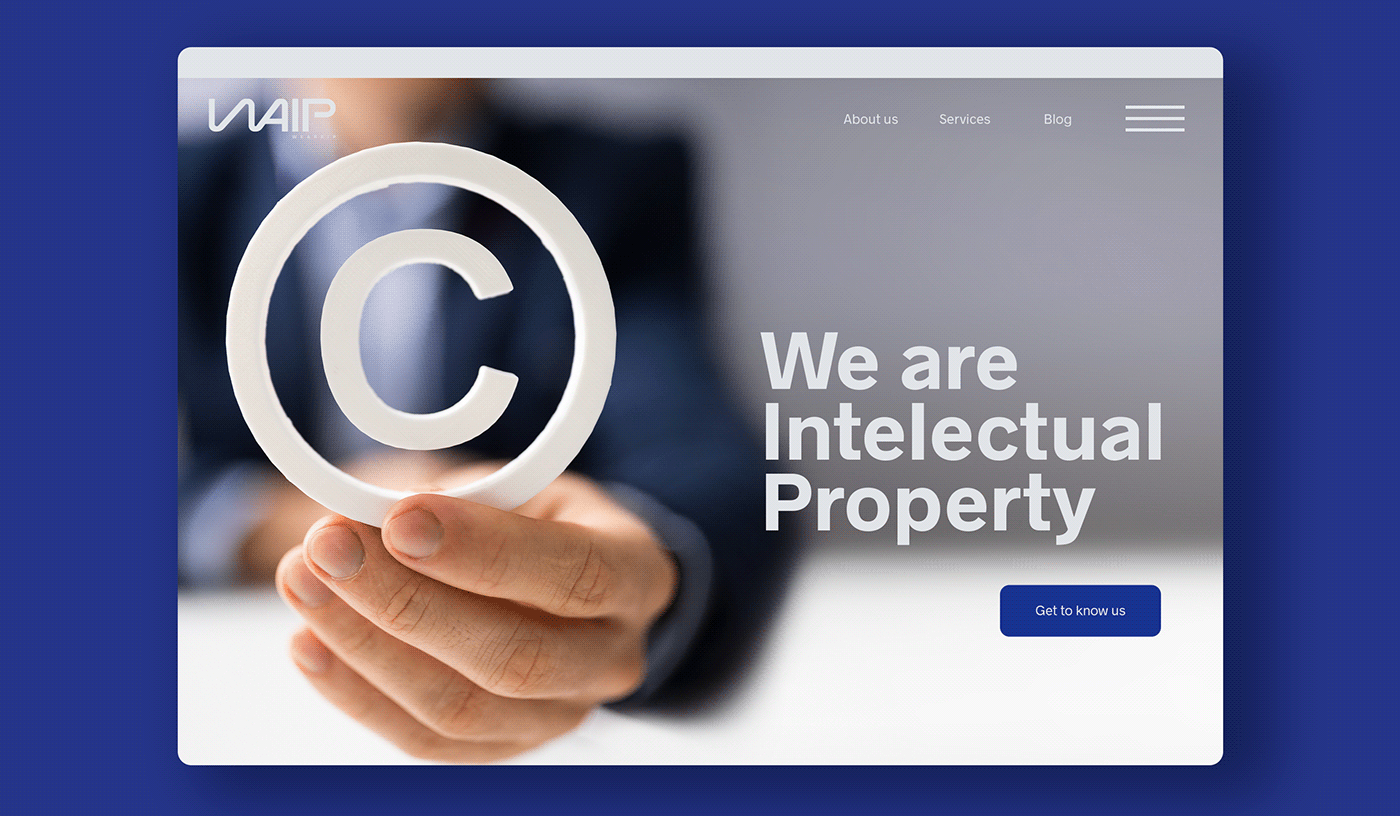 Brand Design brand identity branding  data protection ILLUSTRATION  Intelectual Property Logo Design Logotype typography   visual identity