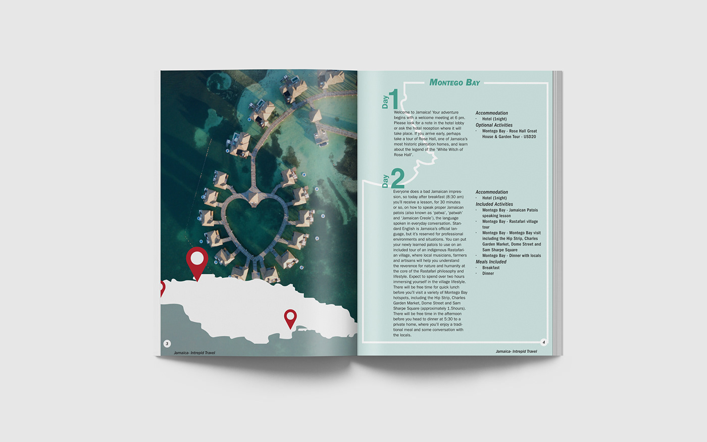 brochure design ILLUSTRATION  InDesign jamaica Nature Travel