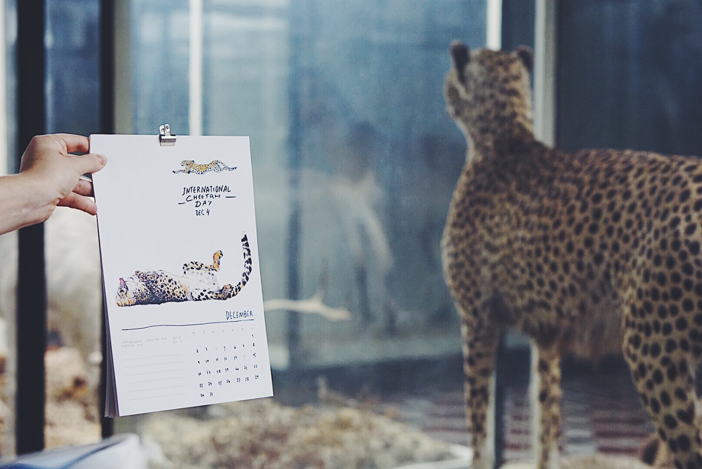 calendar animals environment awareness