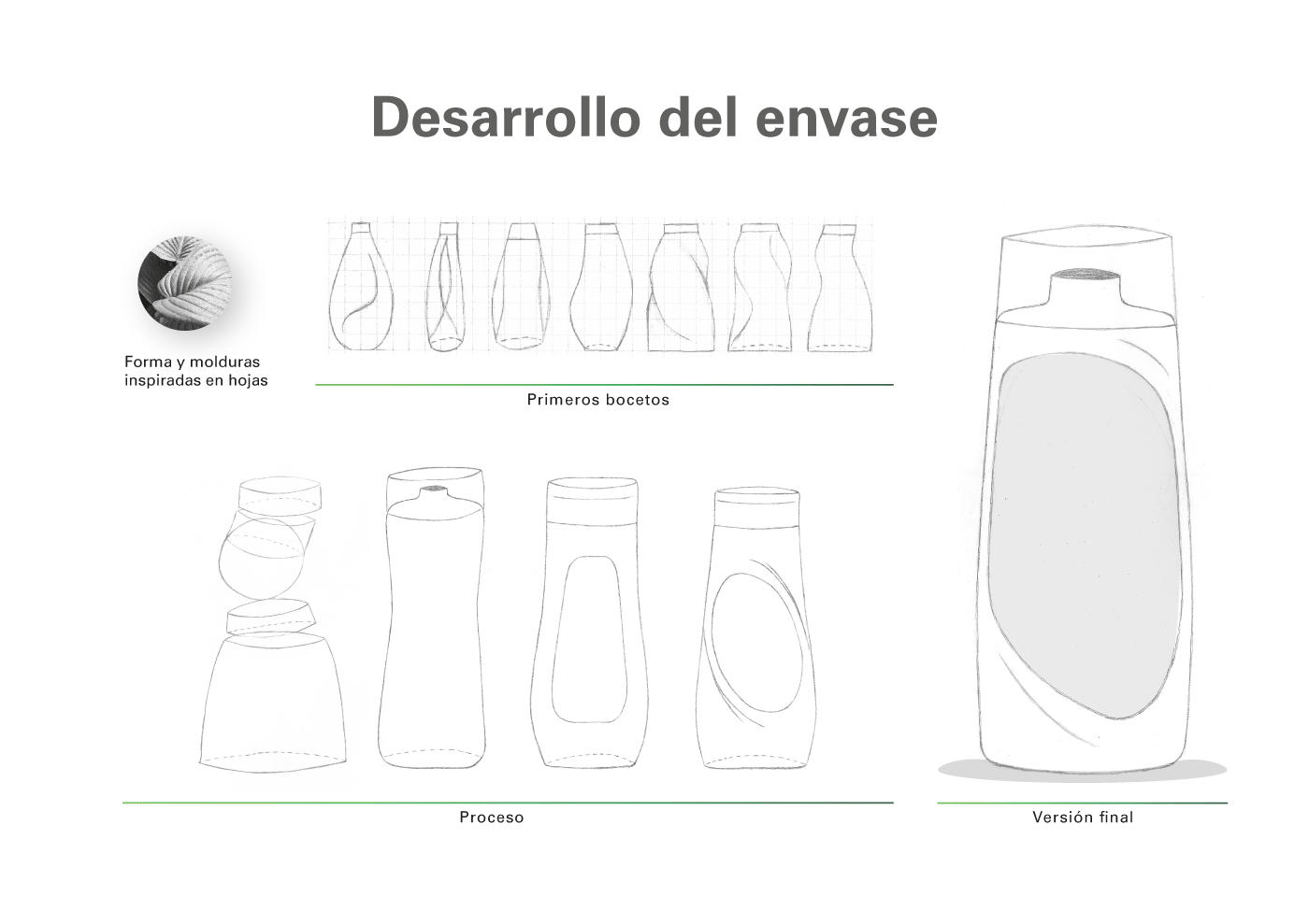 catedra bermudez champu diseño de envase diseño de productos envase etiqueta fadu organico shampoo Shampoo Design