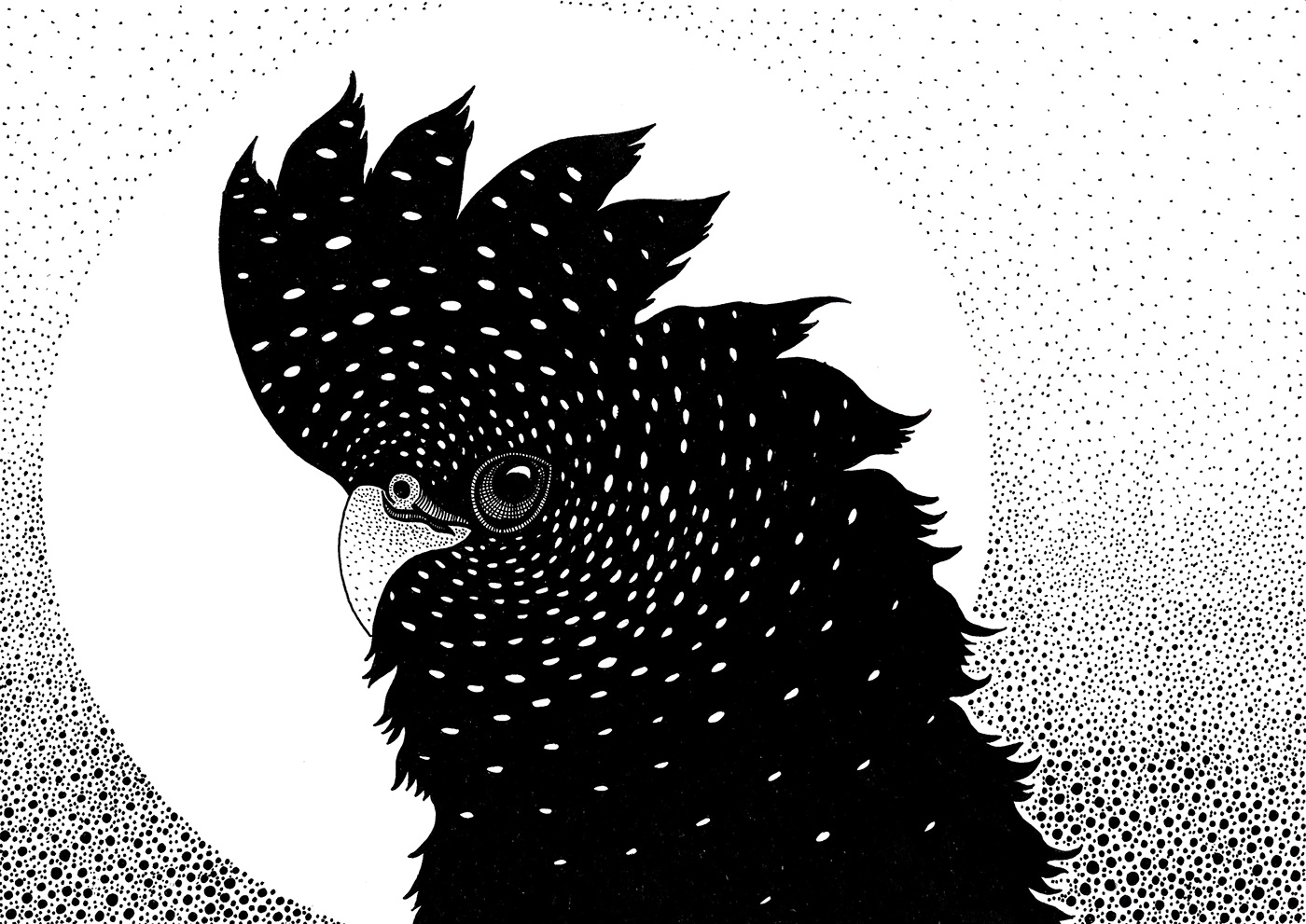 fineliner parrot dotwork dots Black&white circle