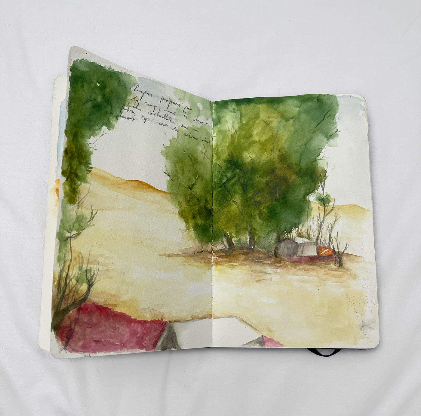 book Diary ILLUSTRATION  Morocco painting   quick sketchbook Travel trip watercolor