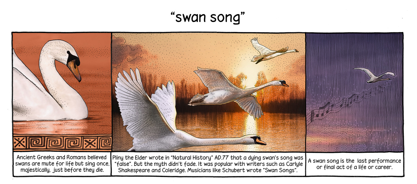 swan song origin and meaning illustrated, from the app.