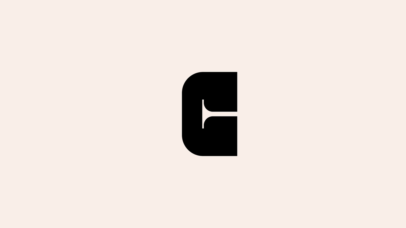 brand Brand Design brand identity design identity Logo Design Logotype typography   visual identity