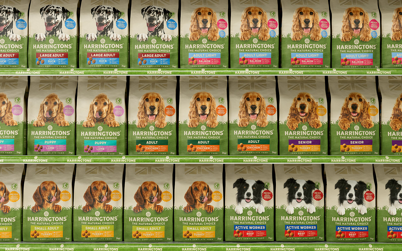 pet food Packaging packaging design visual identity branding  dog