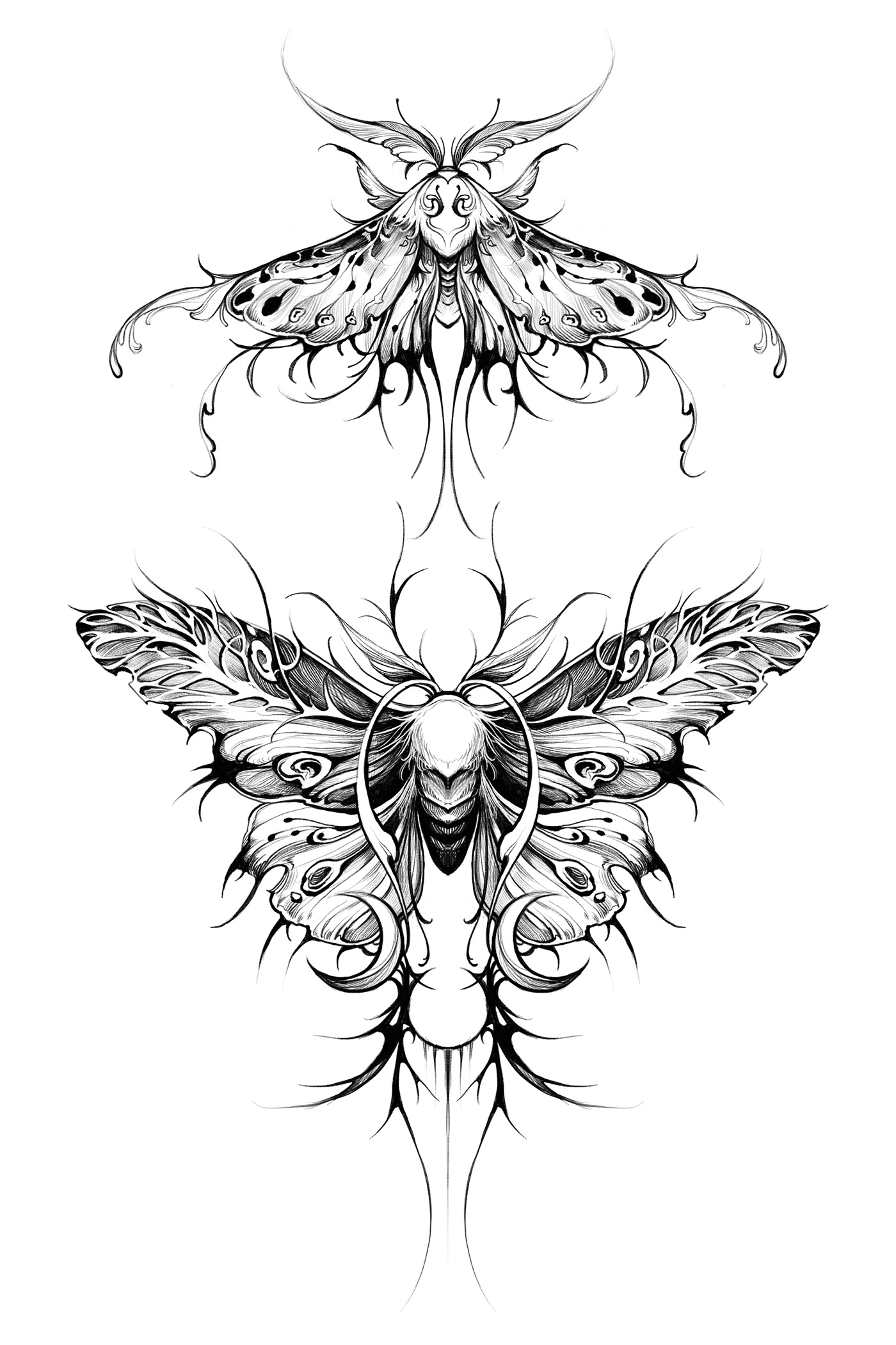 Procreate Digital Art  Tattoo Art prosecc animal moth fantasy graphic digital painting