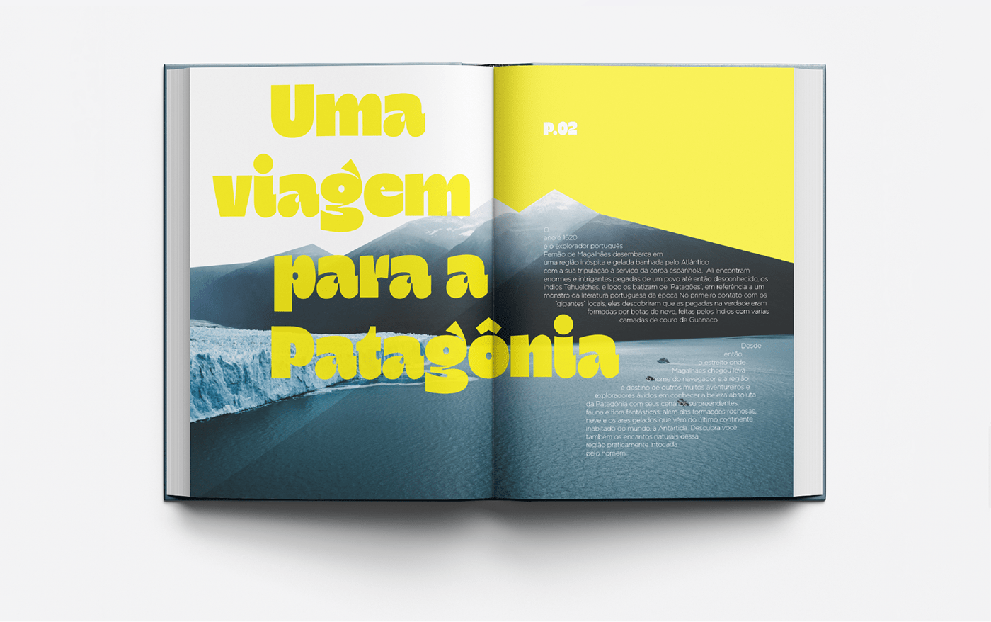 amazonia book editorial magazine Nature patagonia print typography  