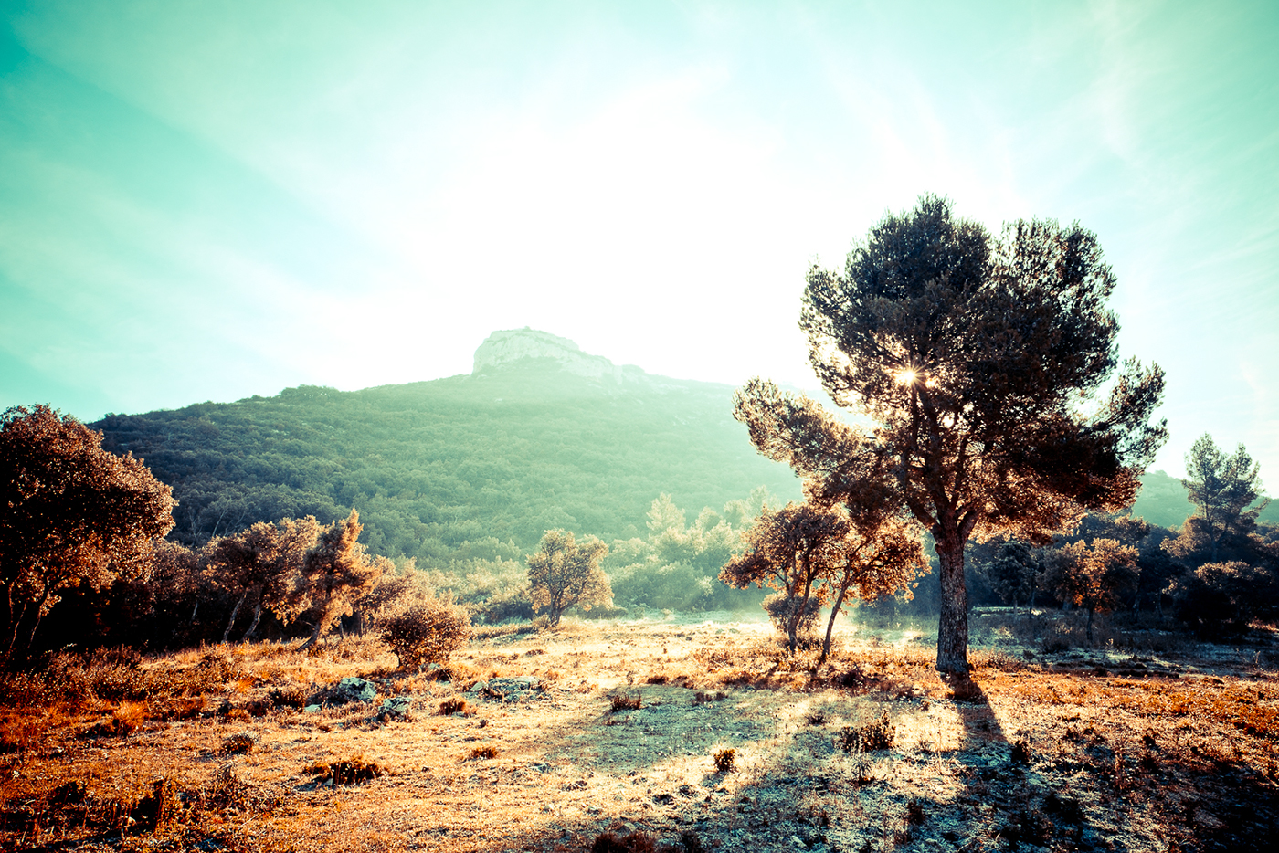 Provence france luberon mountain hiking Poetry  adventurephotography