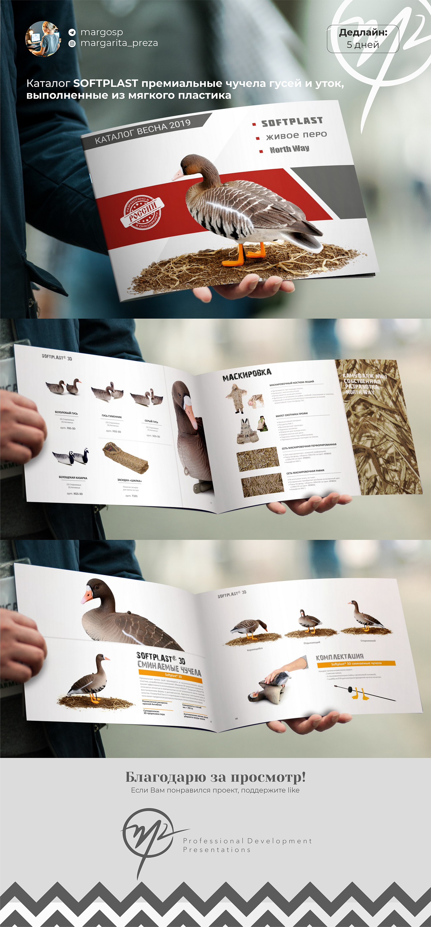 Advertising  brochure brochures catalog fishing flyers geese Hunting Nature presentation