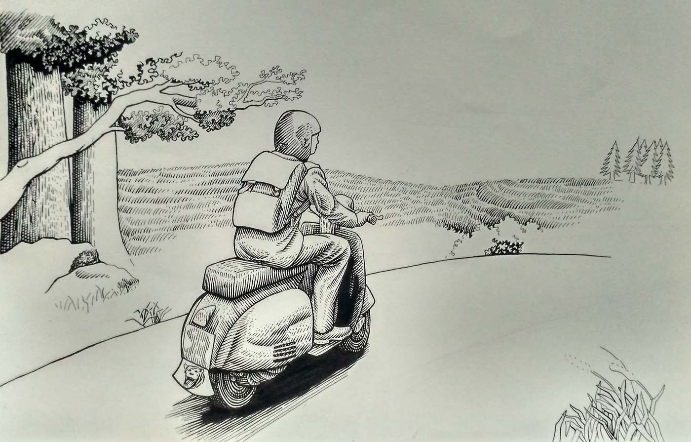 line drawing road trip Travelling car woods