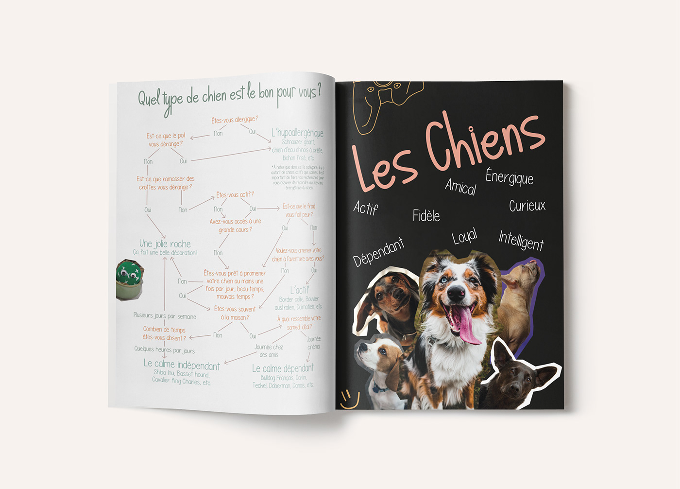 animals book graphic design  quizz