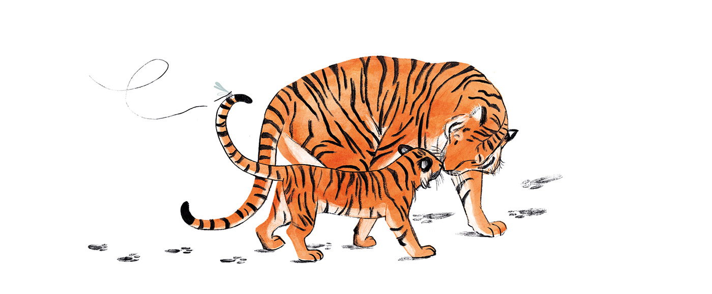 africa children childrensbook Drawing  ILLUSTRATION  kids Picture book story tiger wildlife