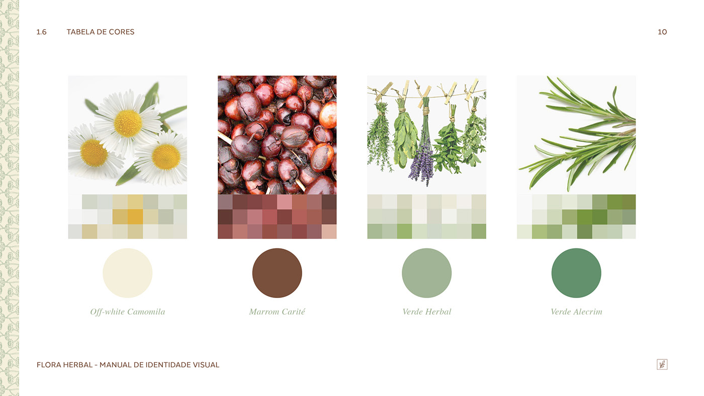 FLORA HERBAL Flora herbal branding  graphic design  brandbook visual guide