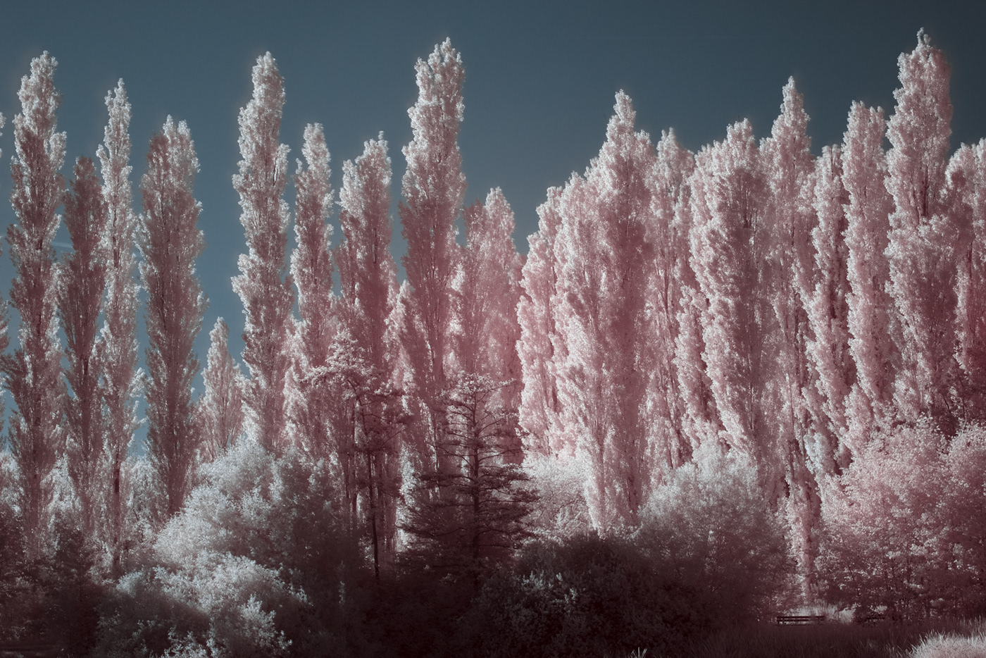 720nm fujifilm infrared infrared photography Landscape Nature Photography  X-T4