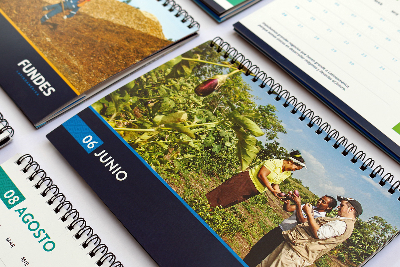 Rebrand rebranding brandbook brand book guidelines Patterns progress colors guides Costa Rica logo calendar environmental graphics letterhead