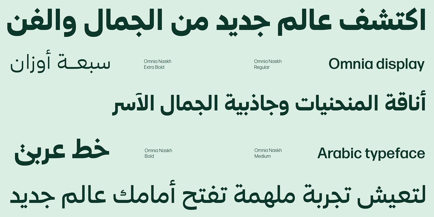arabic typography   typedesign type font Typeface type design display font fonts