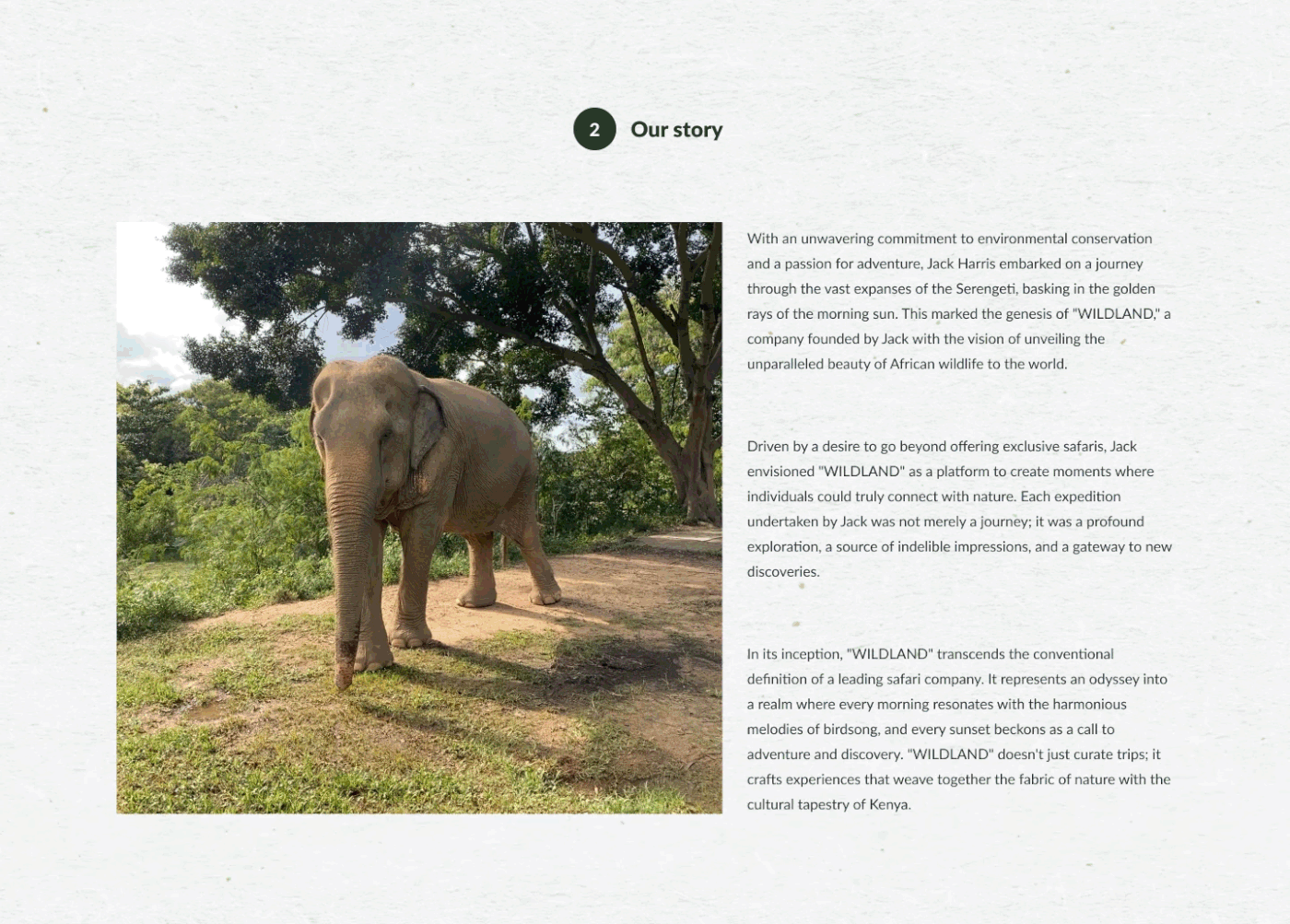 UX design ui design kenya design after effects animation  Nature tourism safari wildlife