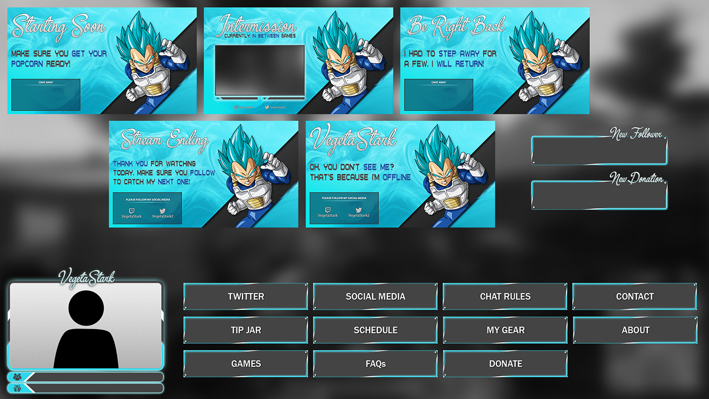 Twitch Overlays Twitch live video Video Overlays twitch branding