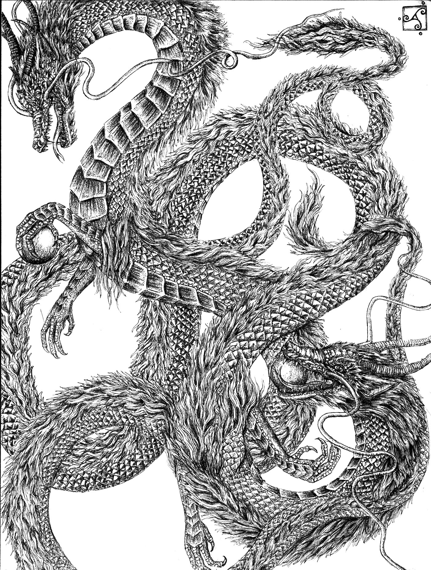 dragon Bianca Jeffs ink mythology asia