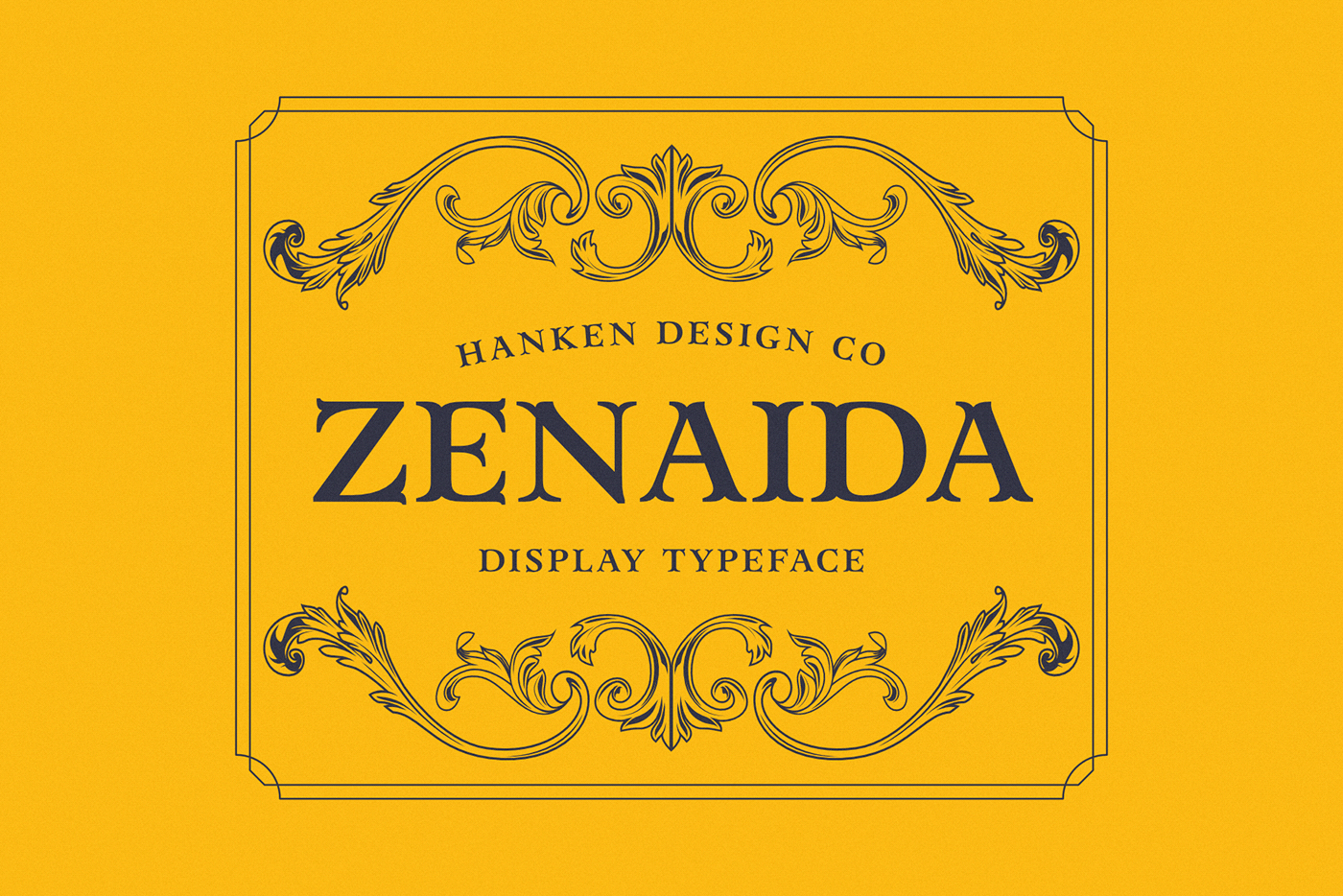 Display hdcfonts organic serif Typeface Unique zenaida