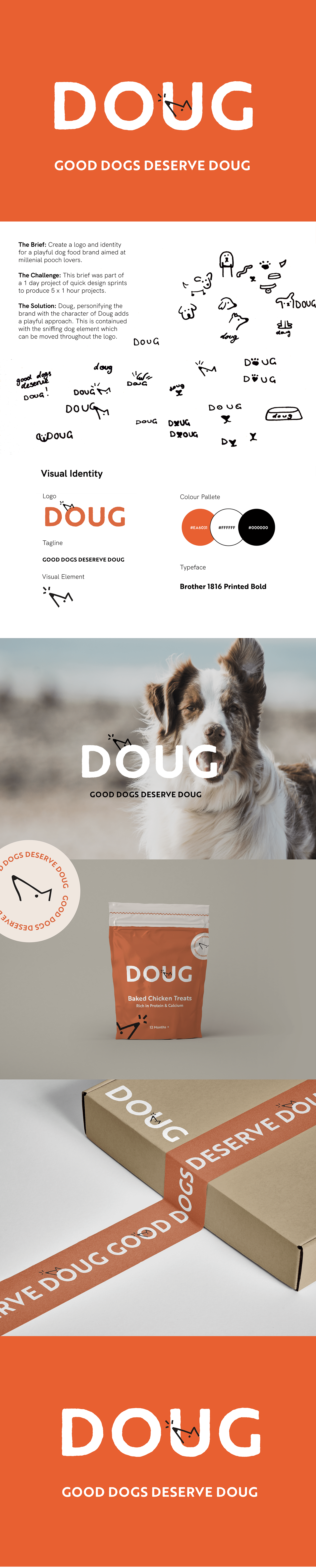brand identity branding  dog food dog food branding graphic design  graphic design logo graphic design student Logo Design Packaging pet branding