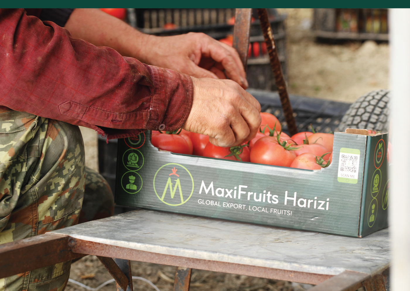 agihaxhimurati agriculture Albania Berat Food  green logo Packaging vegetable vegetables