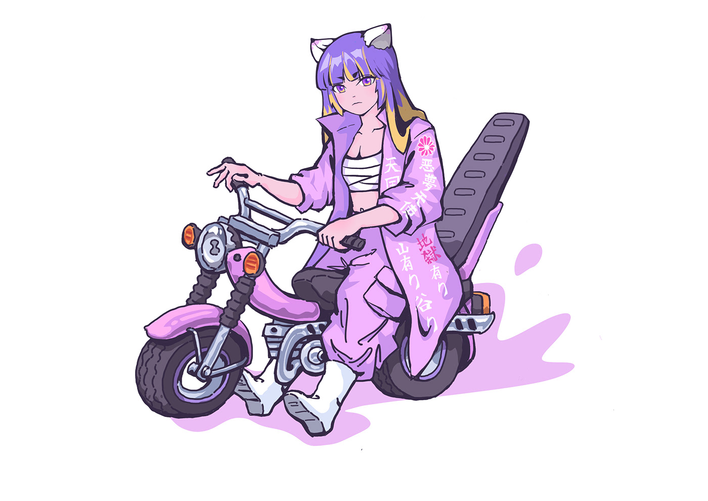 bosozoku illusration motocycle nijia
