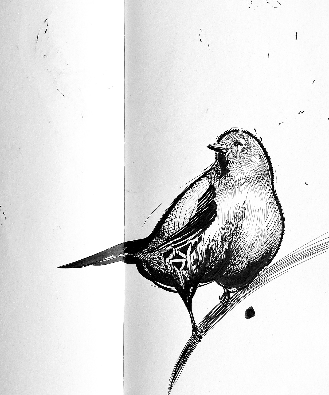 bird black and white Character face Flying ink maze Nicolas Skorupka paper Tree 