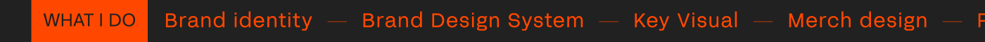 brand identity branding  Curriculum Vitae graphic design  Identity Design resume design system design