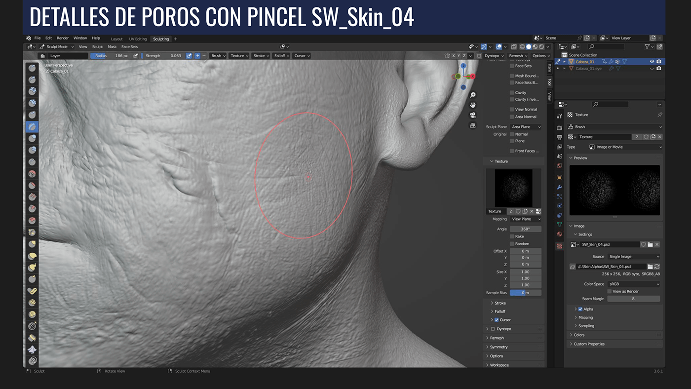 Digital Art  texture 3D human face painting   realistic sculpting  3d modeling Render skin