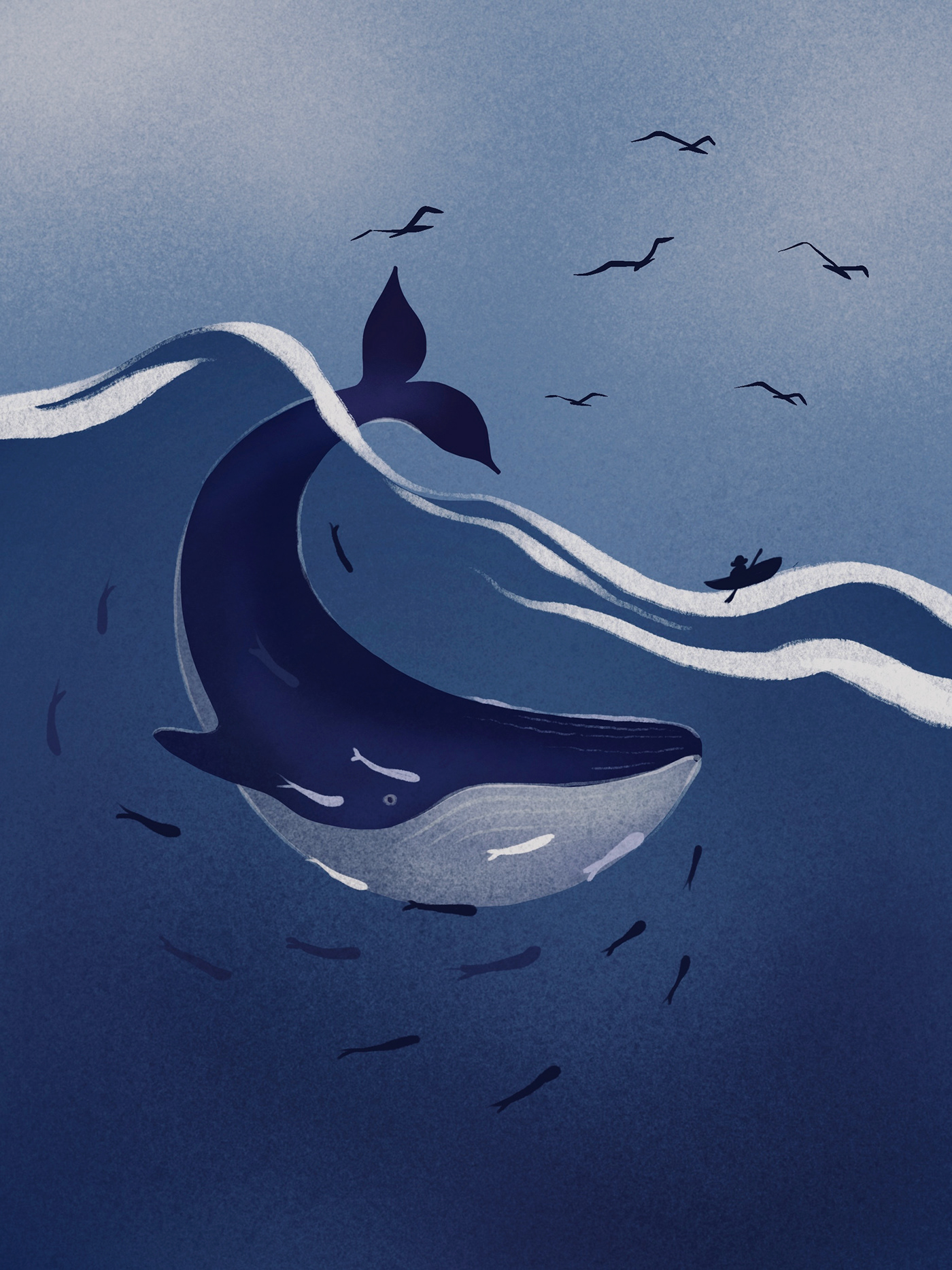 art bluewhale concept art digital Digital Art  digital illustration Drawing  fish painting   Procreate