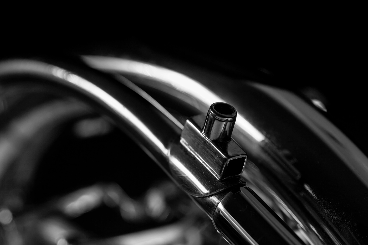 Blasinstrument brass instrument fotografie french horn Photographie Photography 