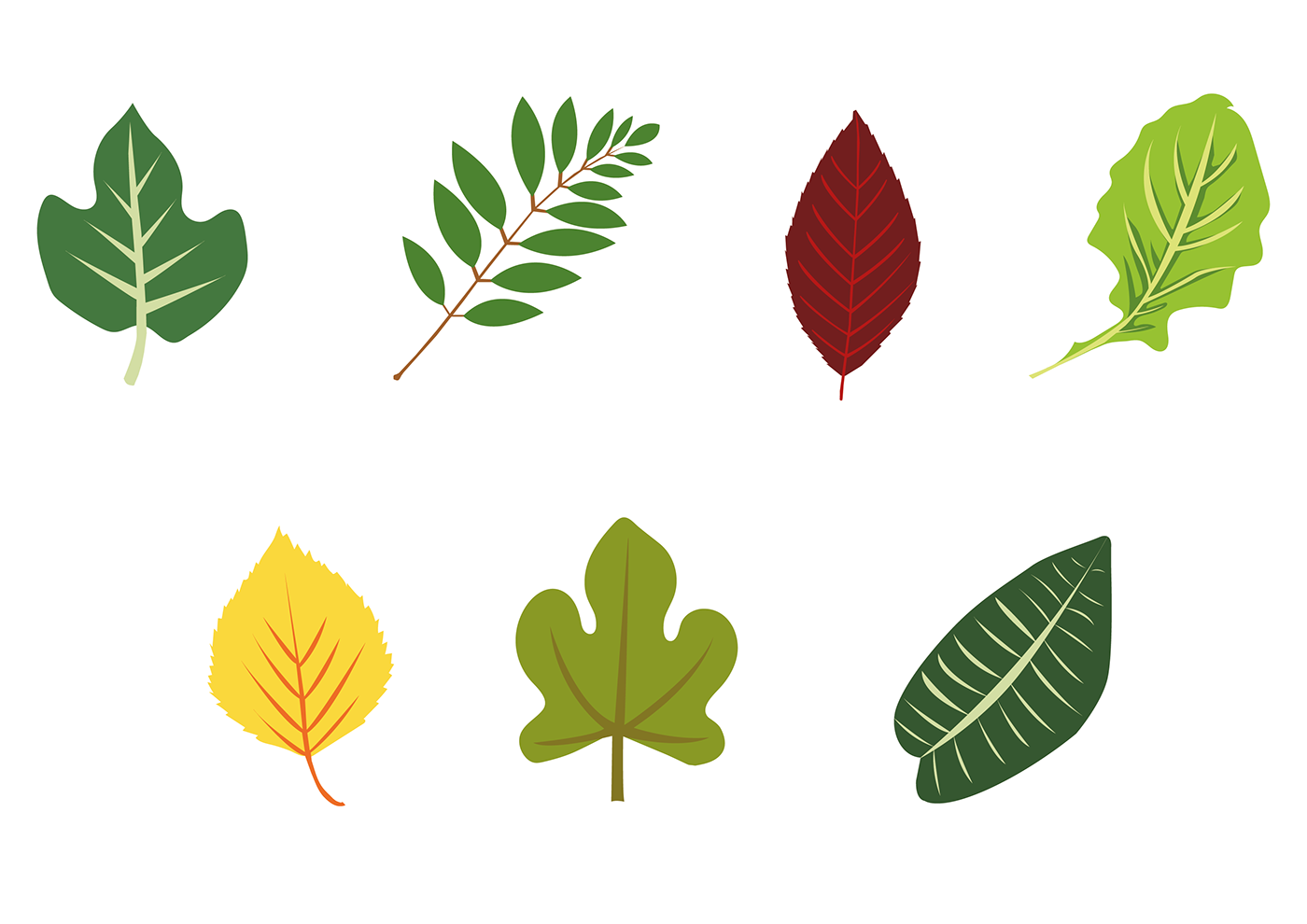 leaves plants Digital Art 