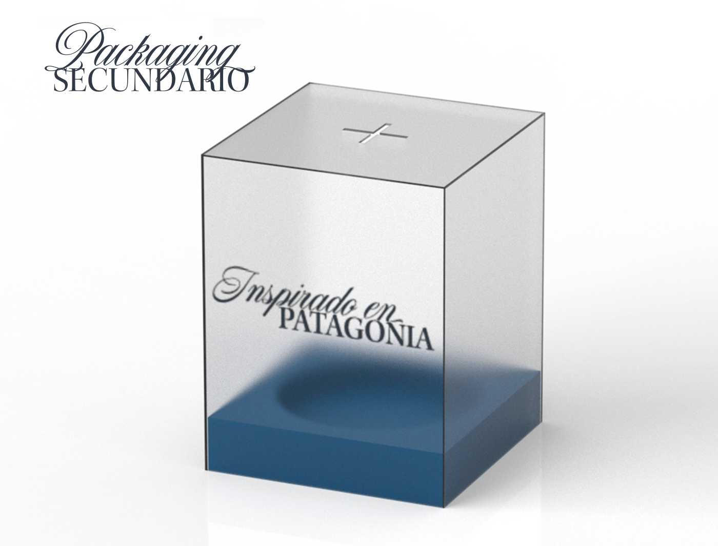 Packaging 3D Stand patagonia argentina gin bottle marketing   redesign Surf