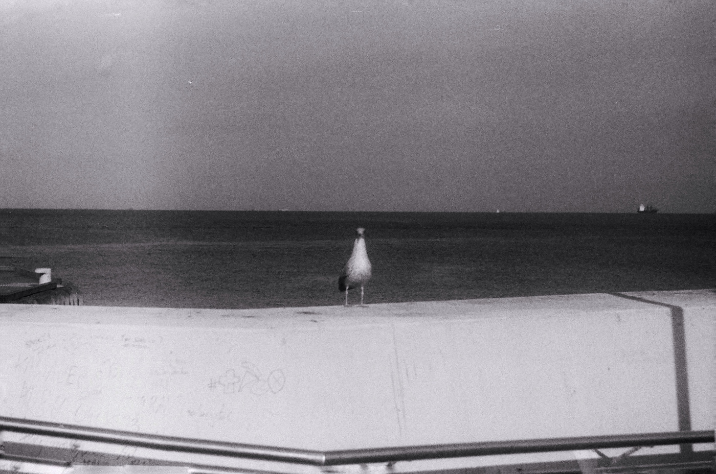 analog analog photography film photography Photography  Fotografia sopot poland 35mm black and white beach Black and White Film