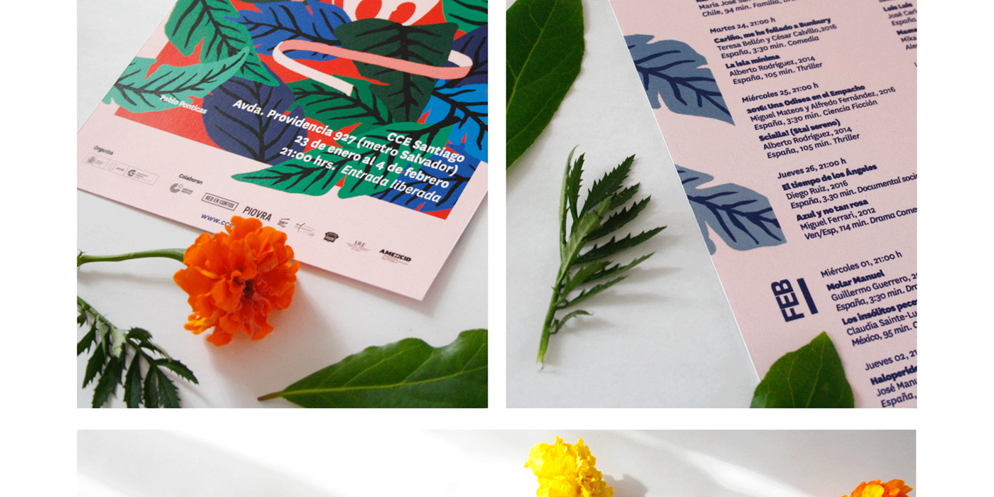 ILLUSTRATION  film estival plants natural graphic design  design poster flyer editorial branding 
