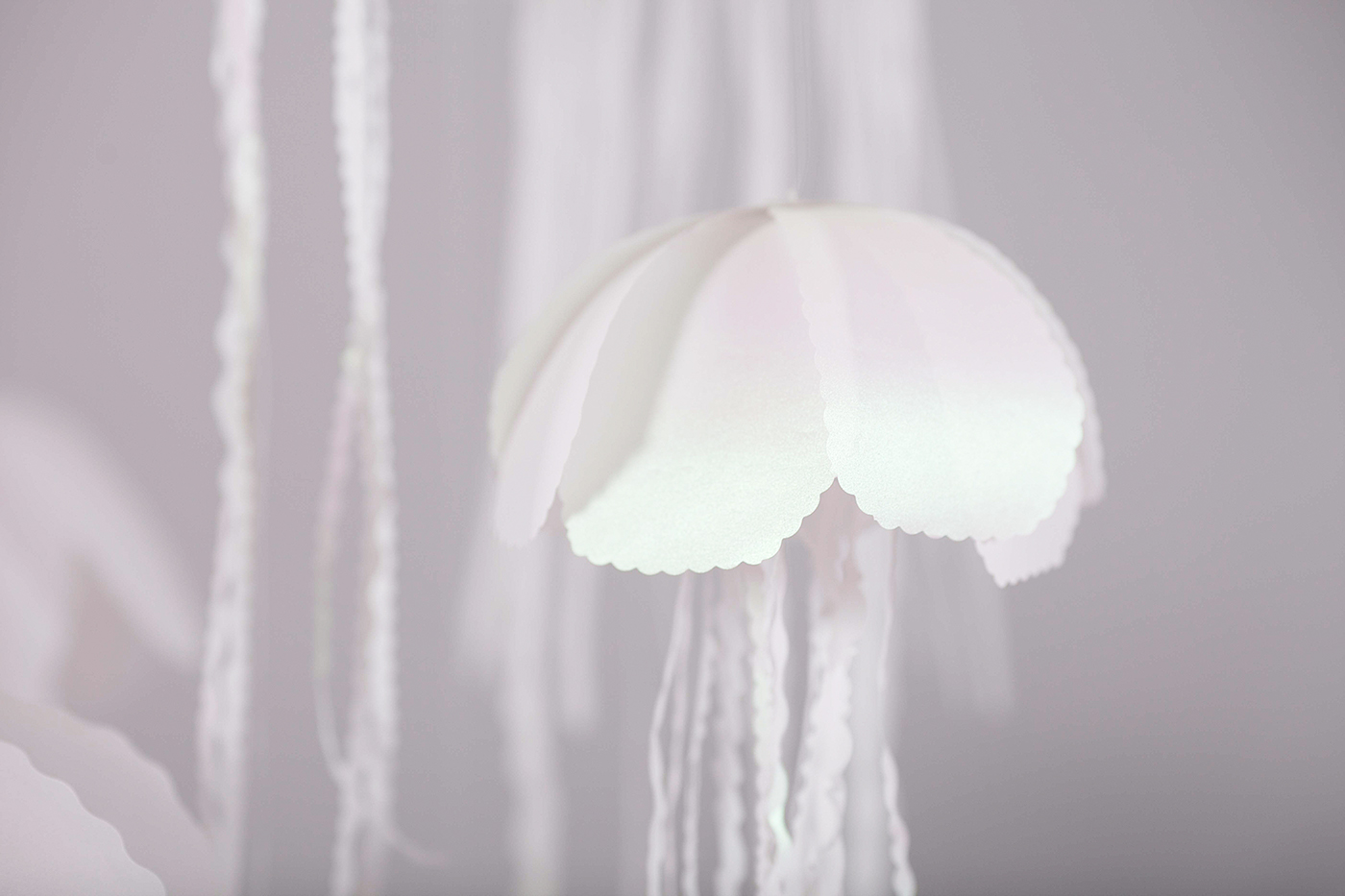 paper jellyfish Lamp colours light composition White Interior productdesign installation