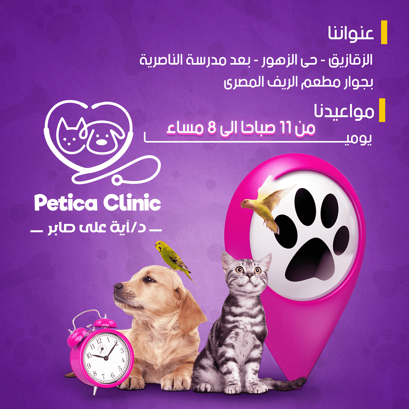 Advertising  Cat clinic clinica Pet pets petshop Social media post Socialmedia