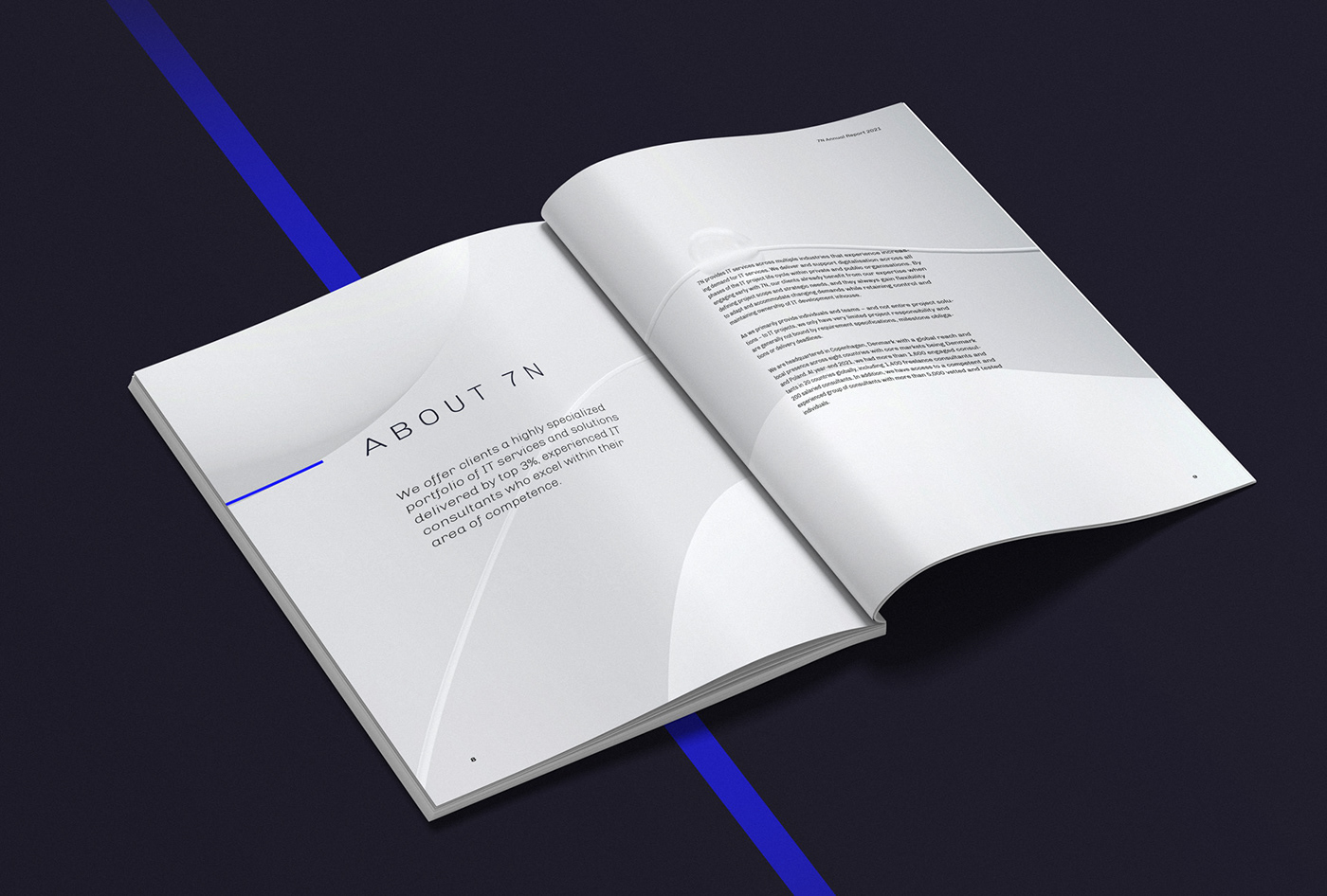 annual report book book cover book design brand identity corporate corporate branding Corporate Design editorial report