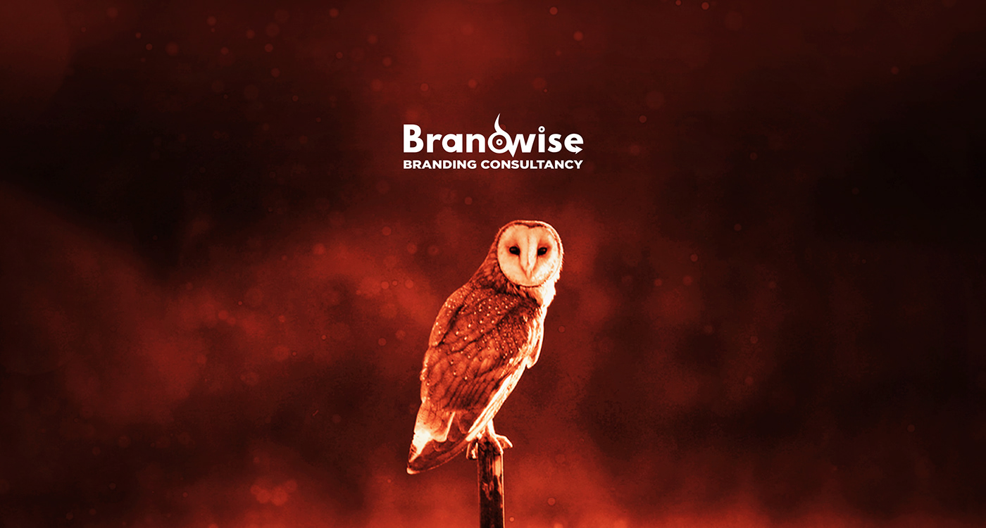 agency bird blue branding Brand Design Branding Identity logo orange owl Adaptation Corprate Identity